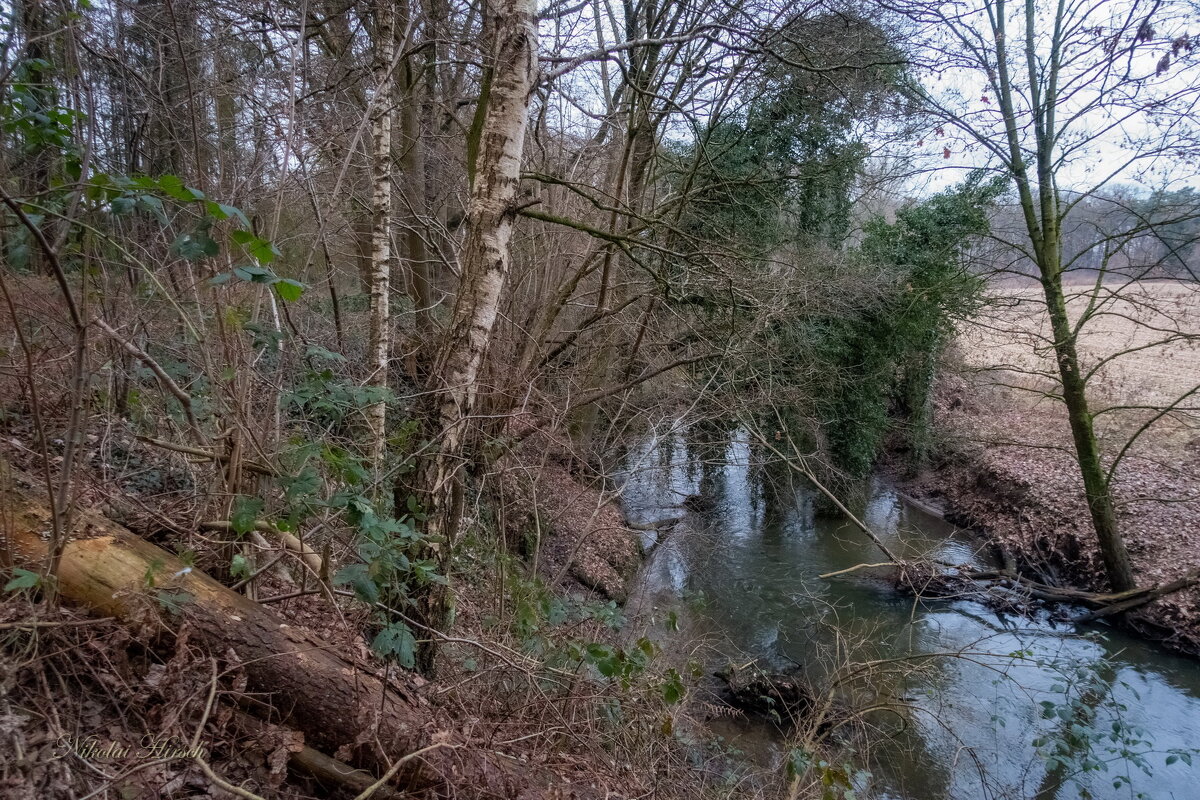 На диком берегу... - Николай Гирш На диком берегу... - Николай Гирш