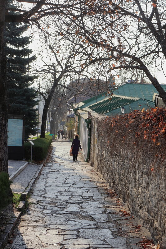 Пятигорск. - Александр Николаев