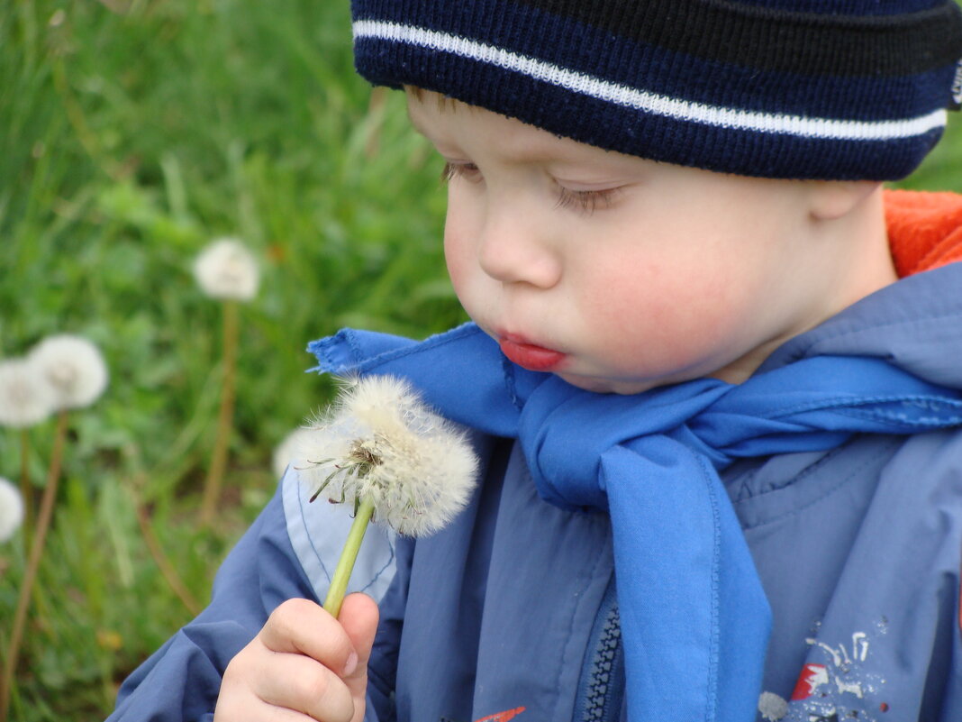 **** - Игорь Николаев