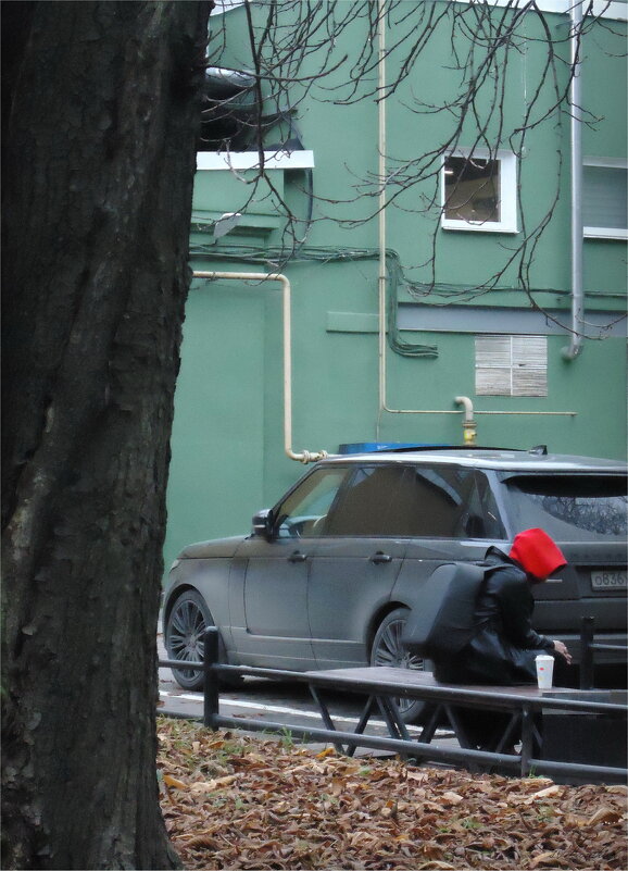 печаль в красном - sv.kaschuk 