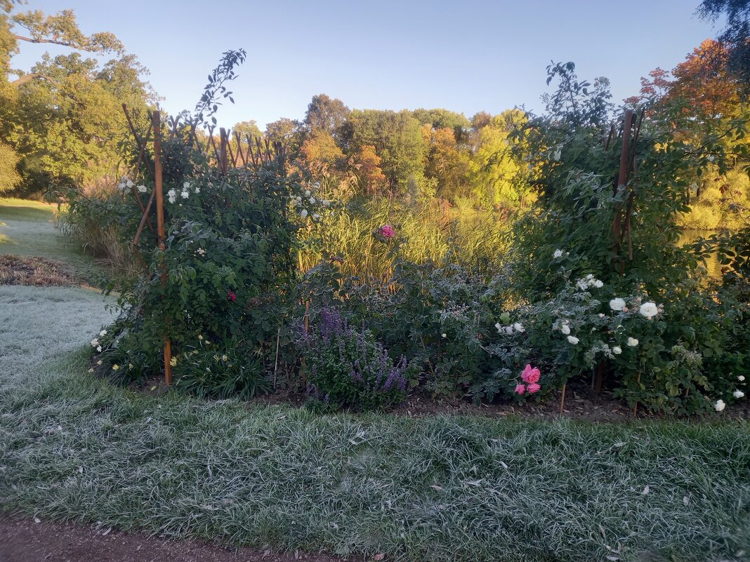 Осень - Сапсан 