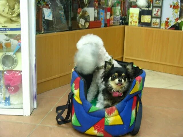 Двое в сумке - Надежда 