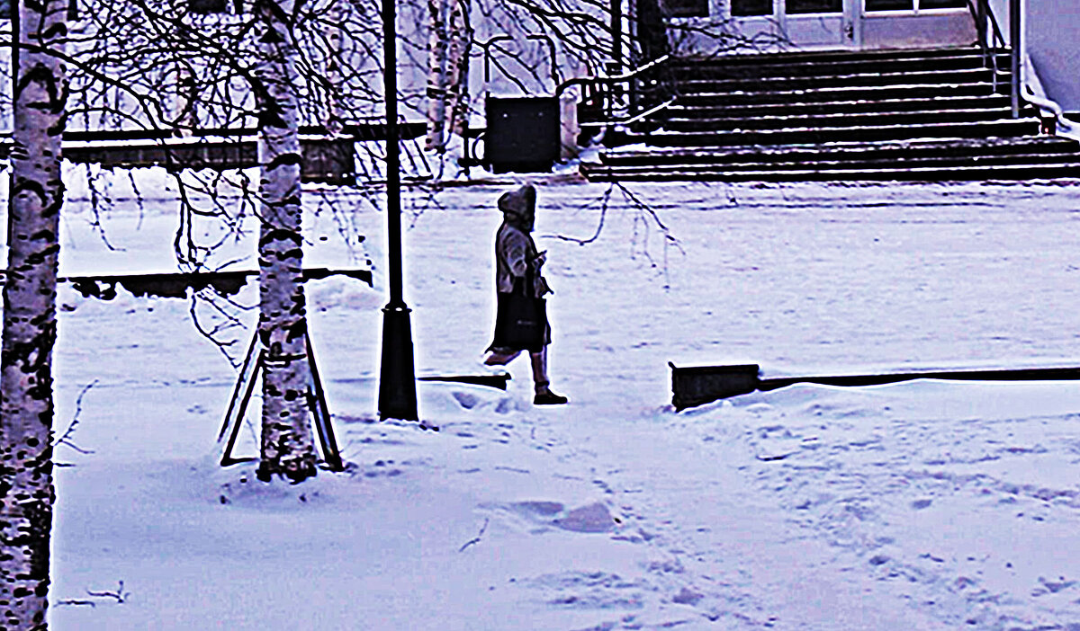 Ноябрь...Уже зима! - Владимир 