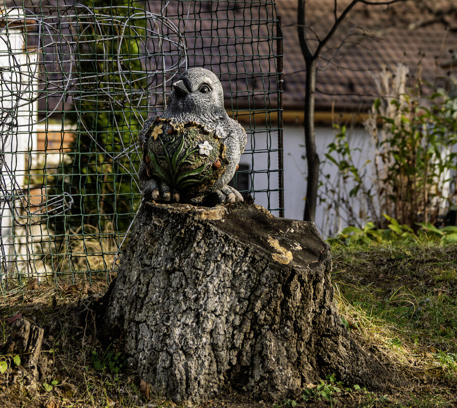 Садовая птицы - Игорь Сикорский