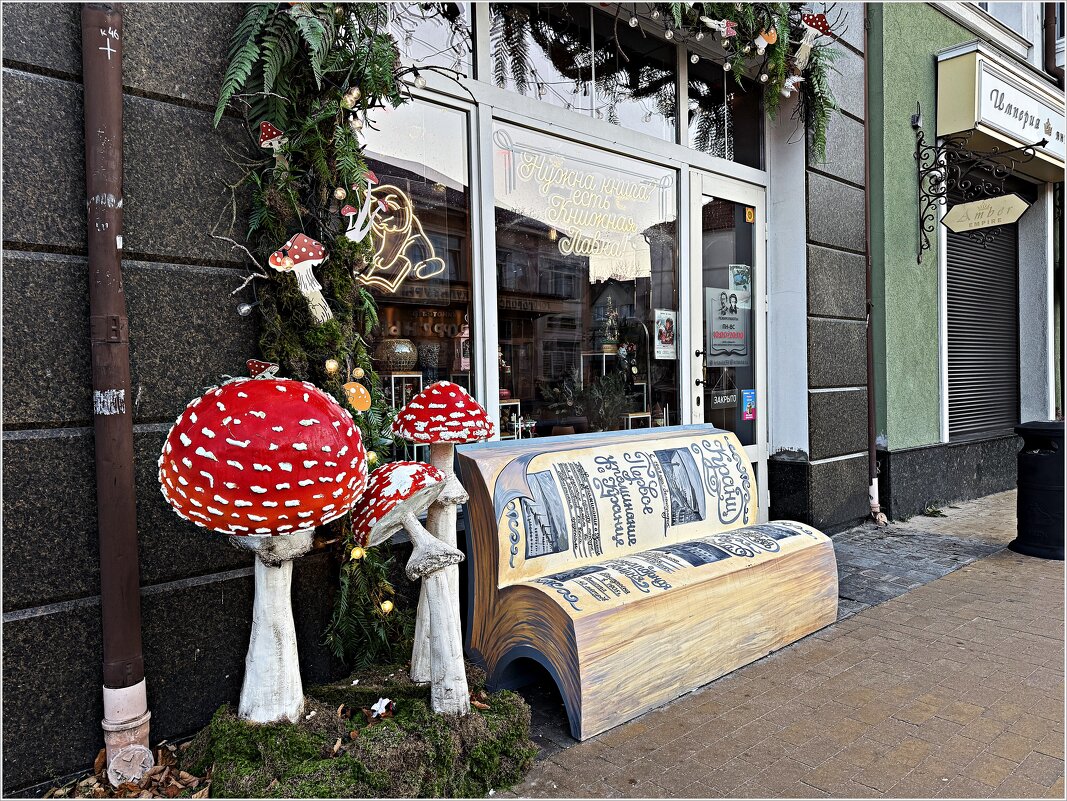 Грибы и скамейка у книжной лавки. - Валерия Комова Грибы и скамейка у книжной лавки. - Валерия Комова