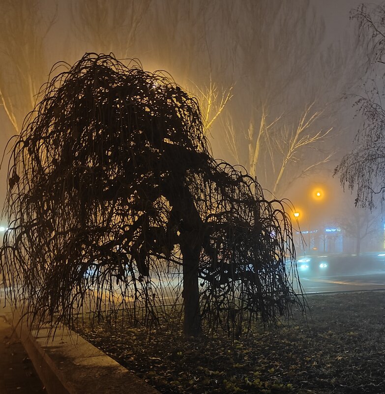 Донецк - Галина Алексенко 