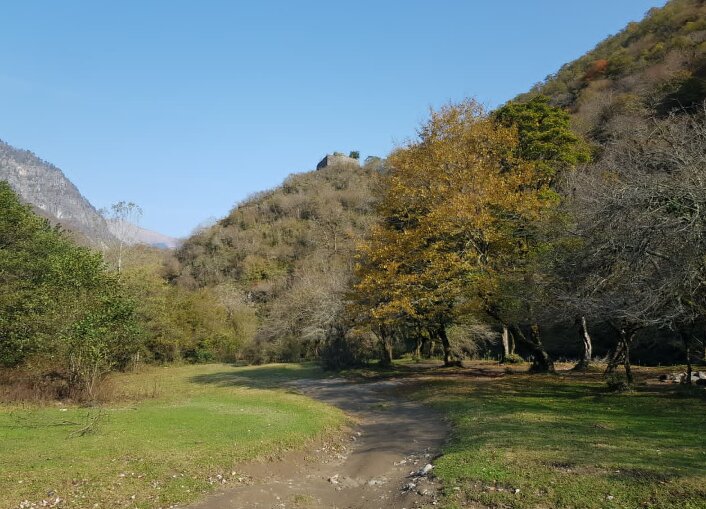 АБХАЗИЯ - Tata Wolf