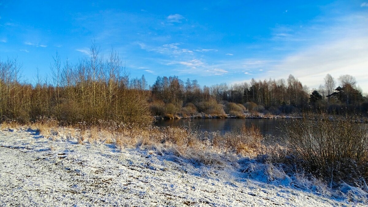 Ноябрь - Милешкин Владимир Алексеевич 