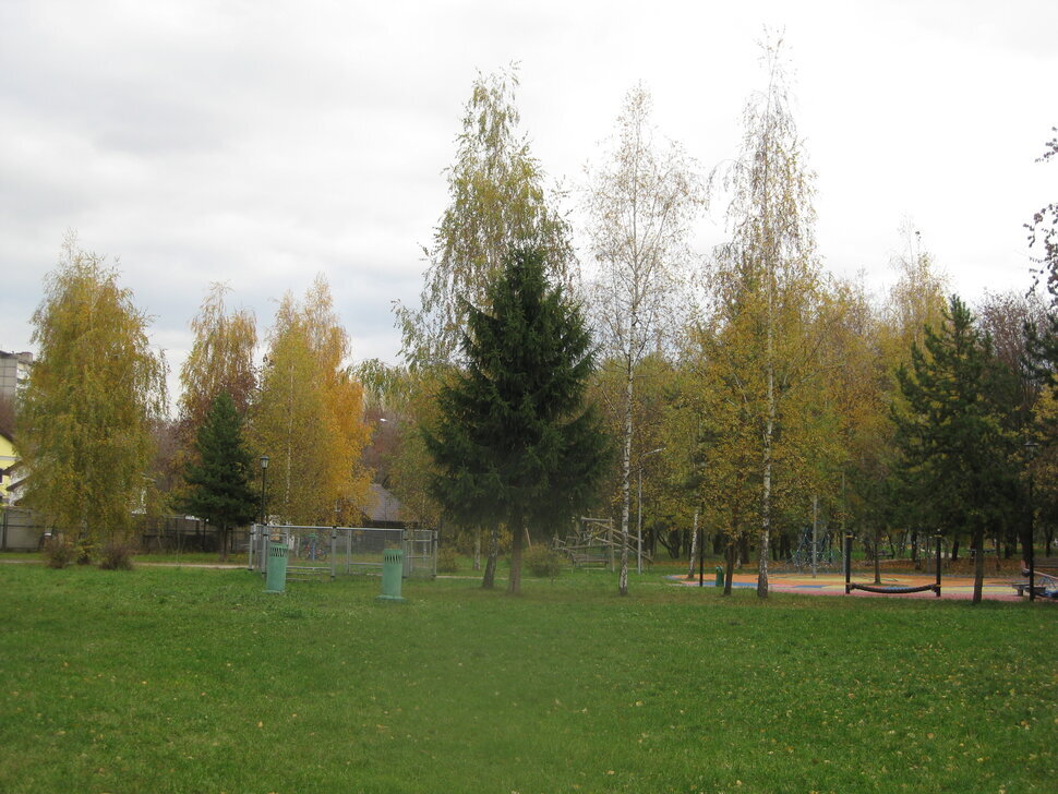 Эх, берёзки-ёлочки! - Дмитрий Никитин