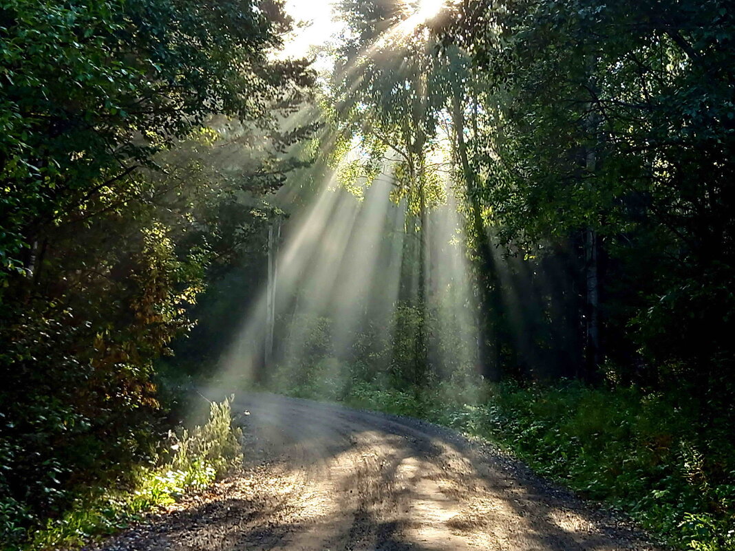 **** - Александр 
