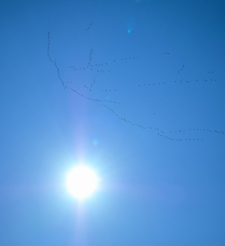 ...за моря дорога дальняя - Всеволод 