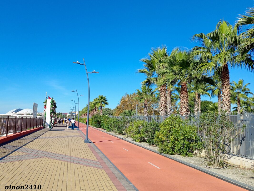 Адлер. Имеретинская (Олимпийская) набережная - Нина Бутко