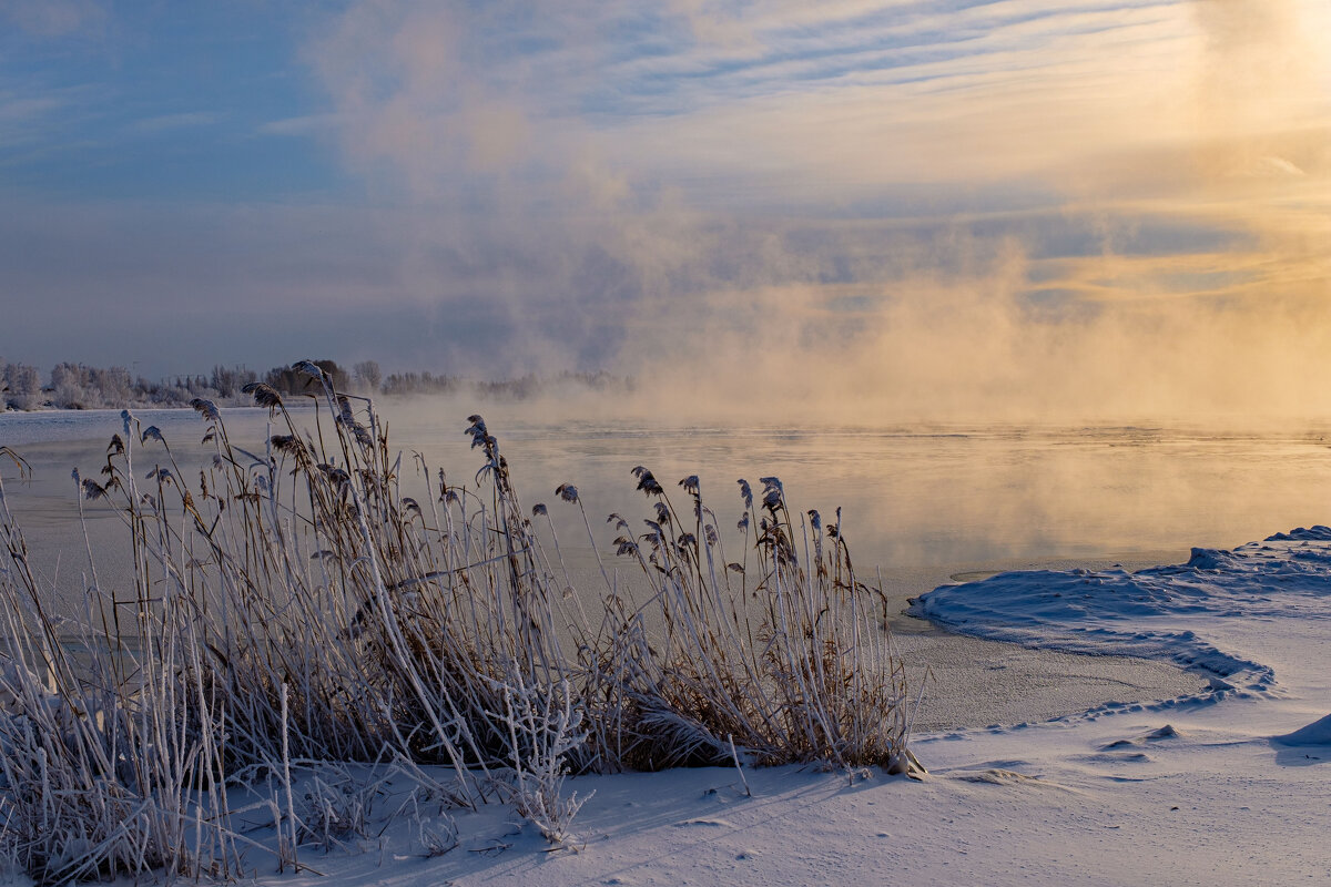 Последние дни ноября.. - Алексей Мезенцев