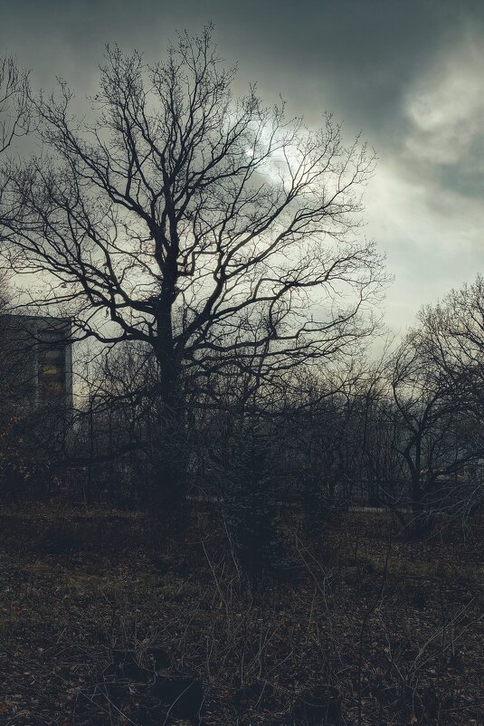 Теплый ноябрь - Сергей В