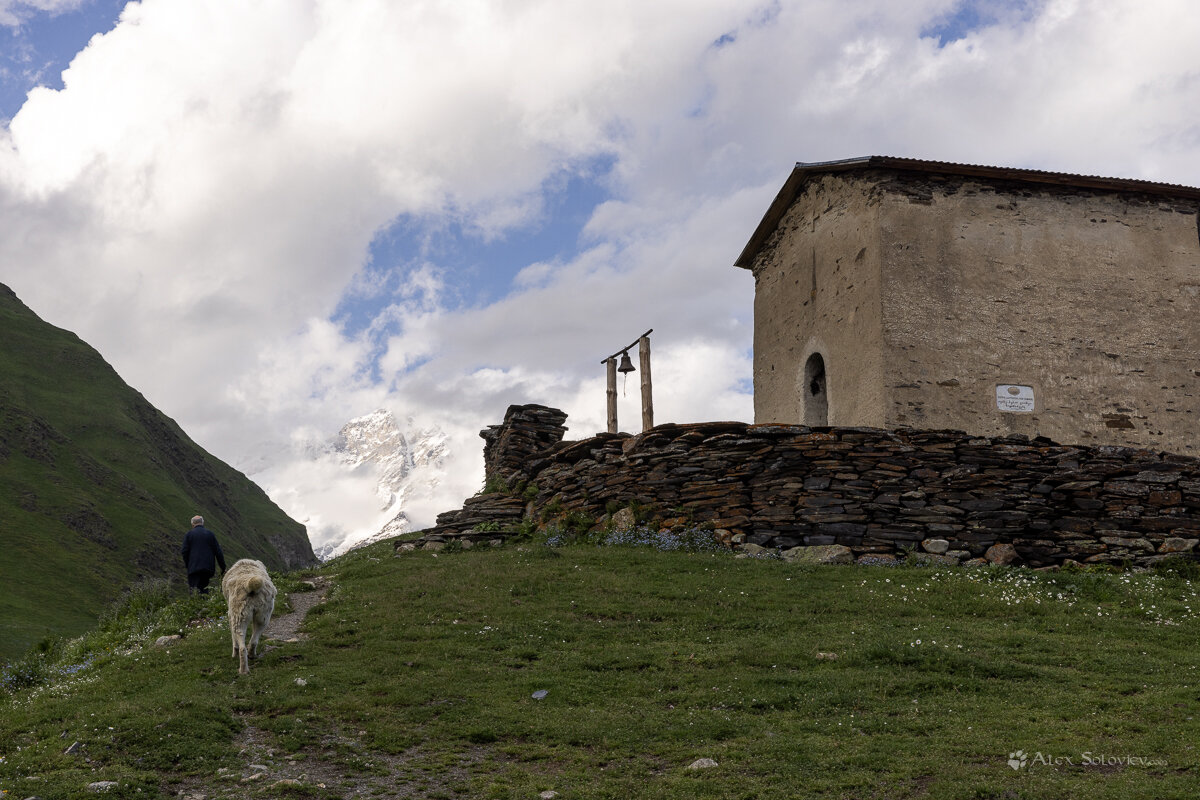 **** - Алексей Соловьев