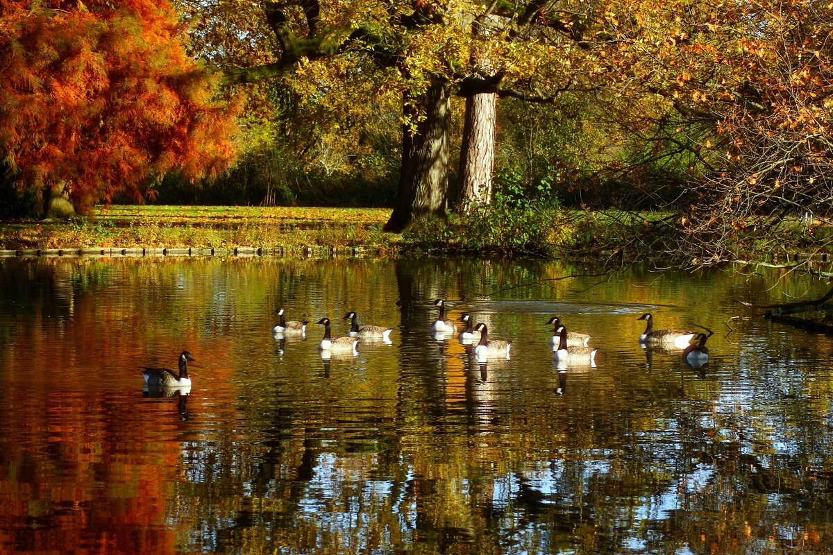 Солнечный день ноября - Юрий. Шмаков