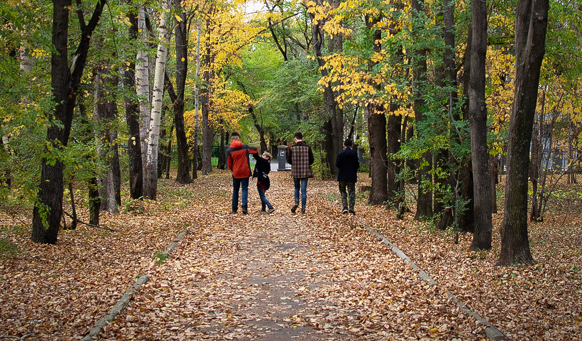 В осеннем парке... - Людмила Фил