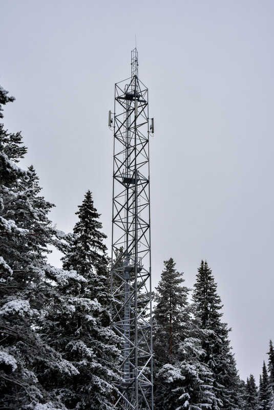 Сотовая - Владимир VS