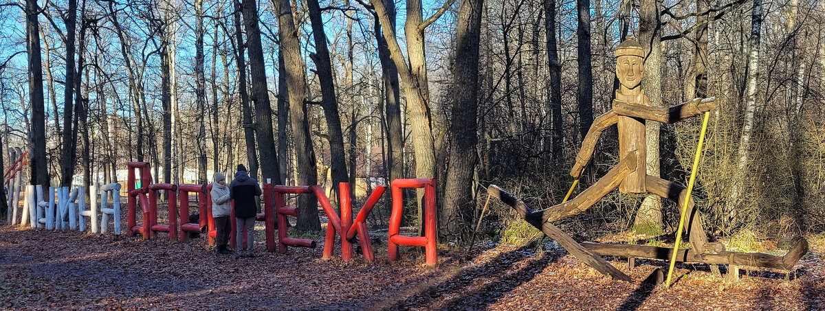 Лыжня зовёт, да снег не идёт - Татьяна Машошина