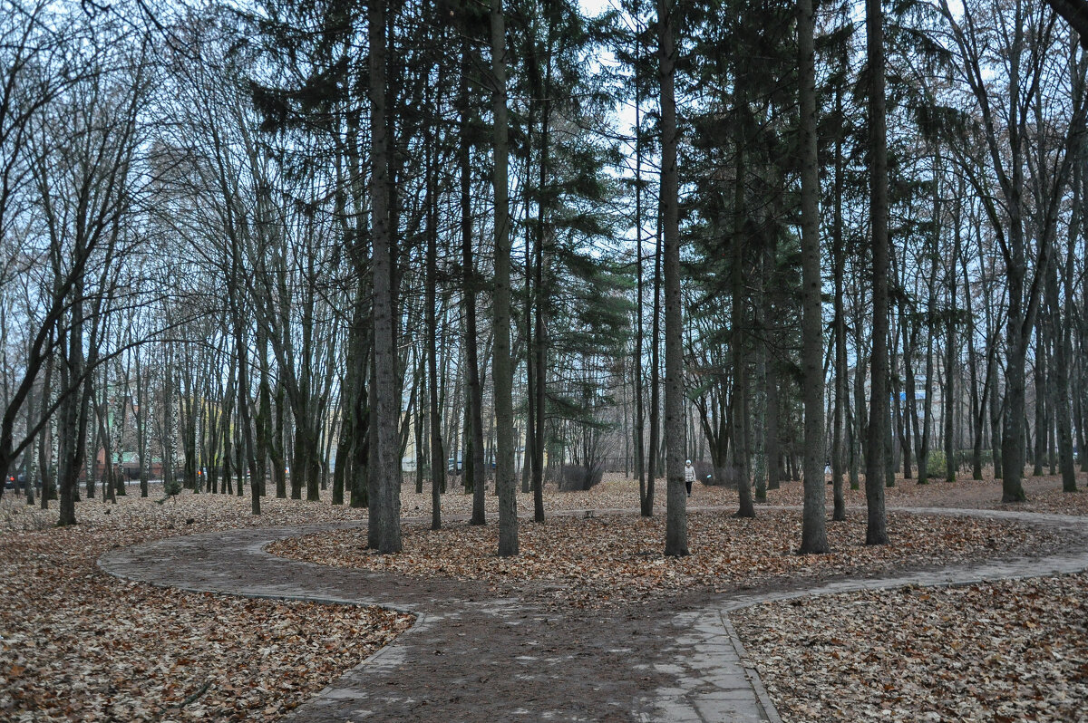 Прощание с ноябрём - Татьяна Машошина