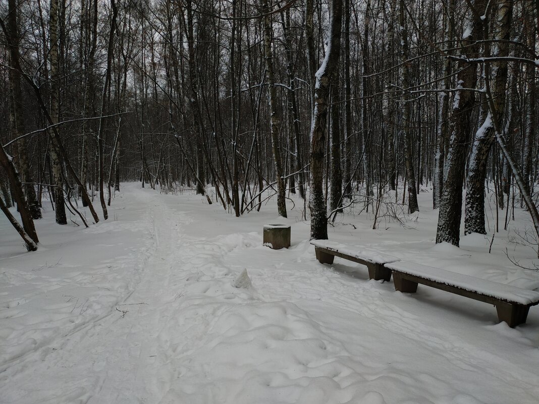 Каким был конец осени 2023 - Андрей Лукьянов