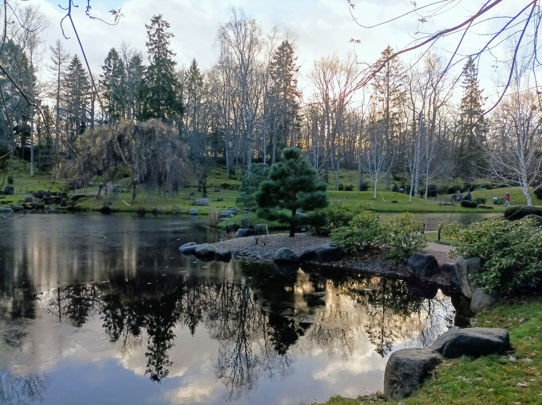 В парке Кадриорг у пруда - Veera V В парке Кадриорг у пруда - Veera V