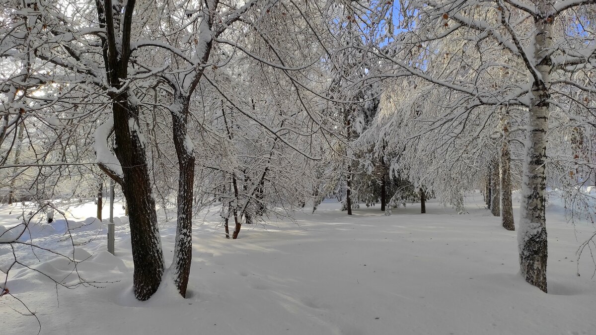 Снежный парк на пороге зимы - Татьяна Лютаева