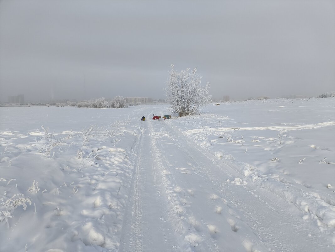 Зимние прогулки - Anna Ivanova Зимние прогулки - Anna Ivanova