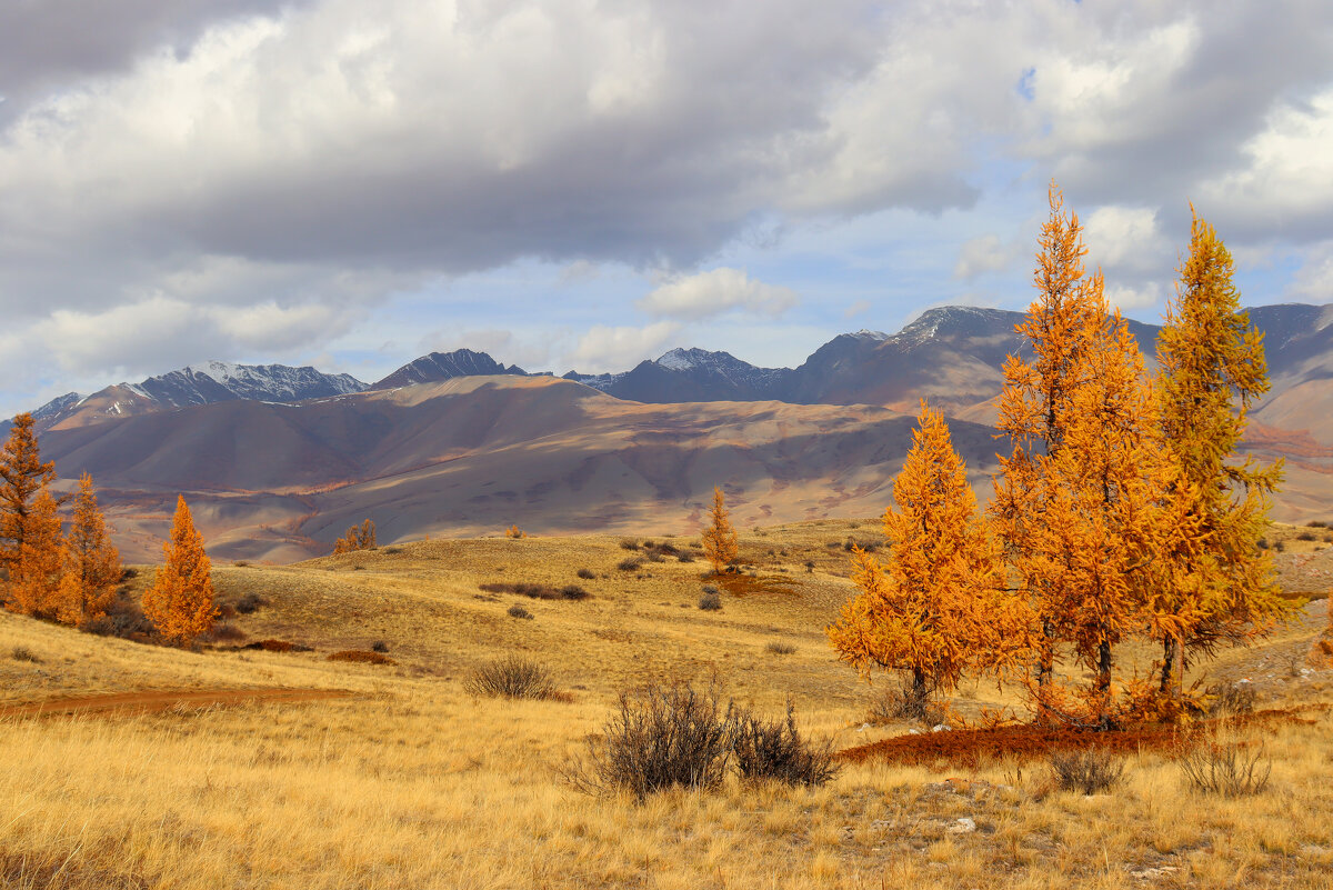 Курайские горки - елена беликова