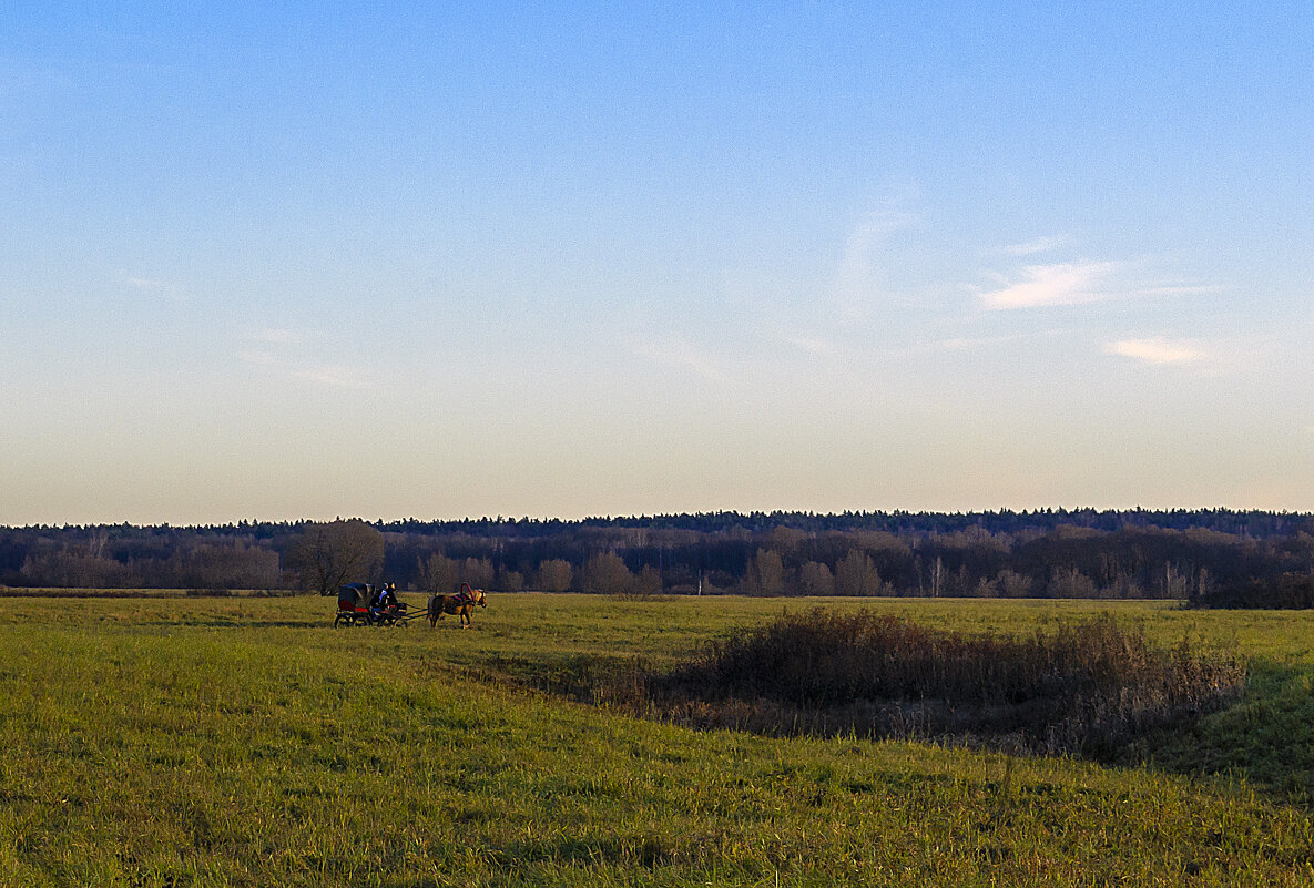 Катание по лугу - Сергей Цветков