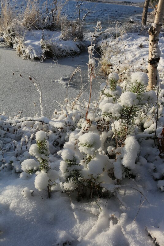 Свежий снег - Ольга 