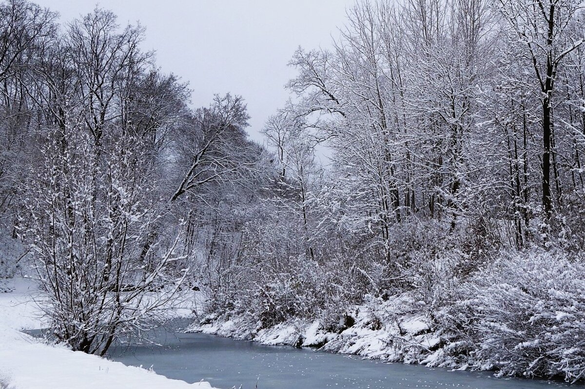 Первый снег - Рита Симонова