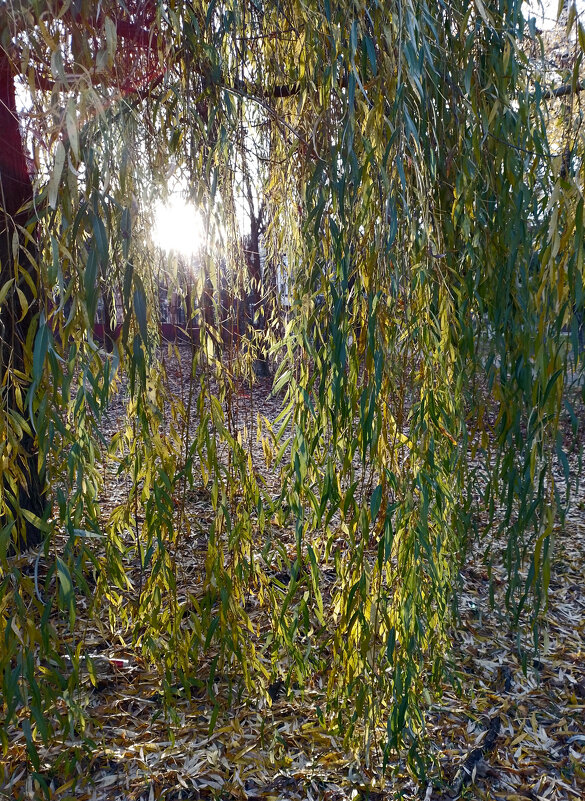 *** - Валентина Береснева