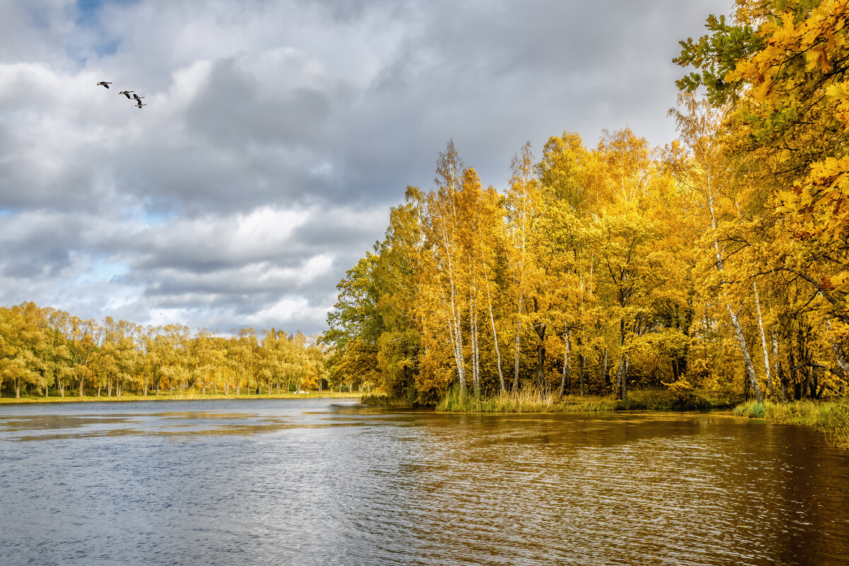 Про Питер - Владимир Колесников
