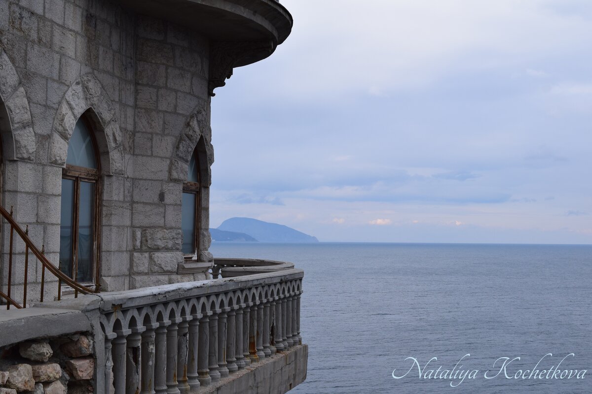 Природа Крыма - Amazing Cosmea