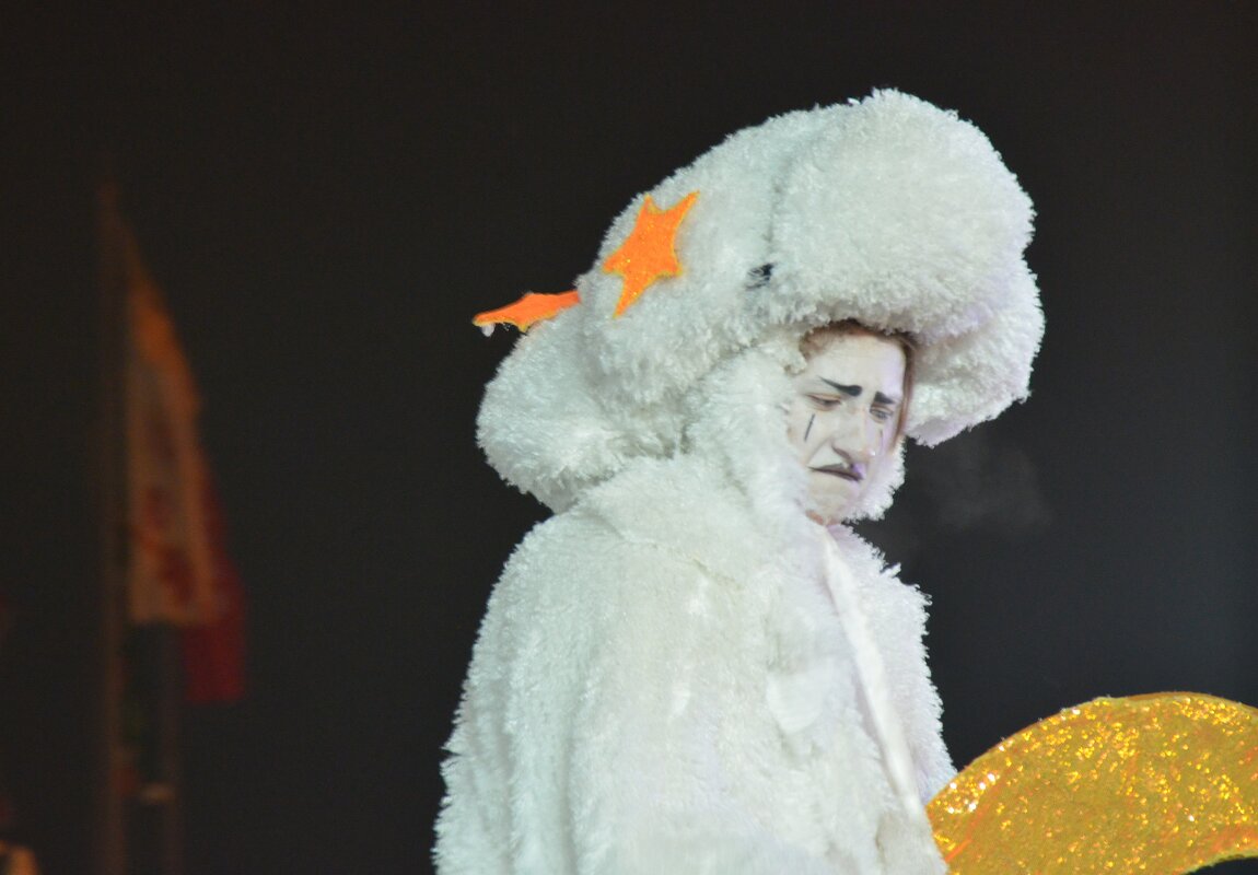 Профессиональная эмоция. - Наталья Вязигина