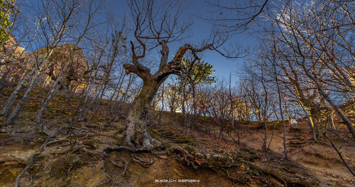 В ДОЛИНЕ ПРИВИДЕНИЙ - Sergey Bagach