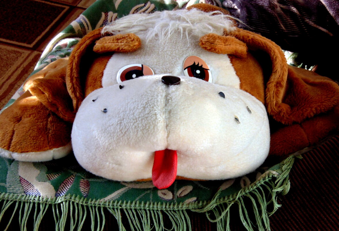 Лучший друг-Степашка. - nadyasilyuk Вознюк