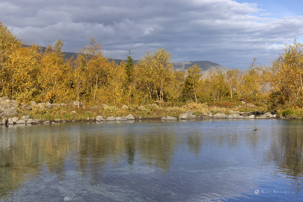 **** - Алексей Соловьев