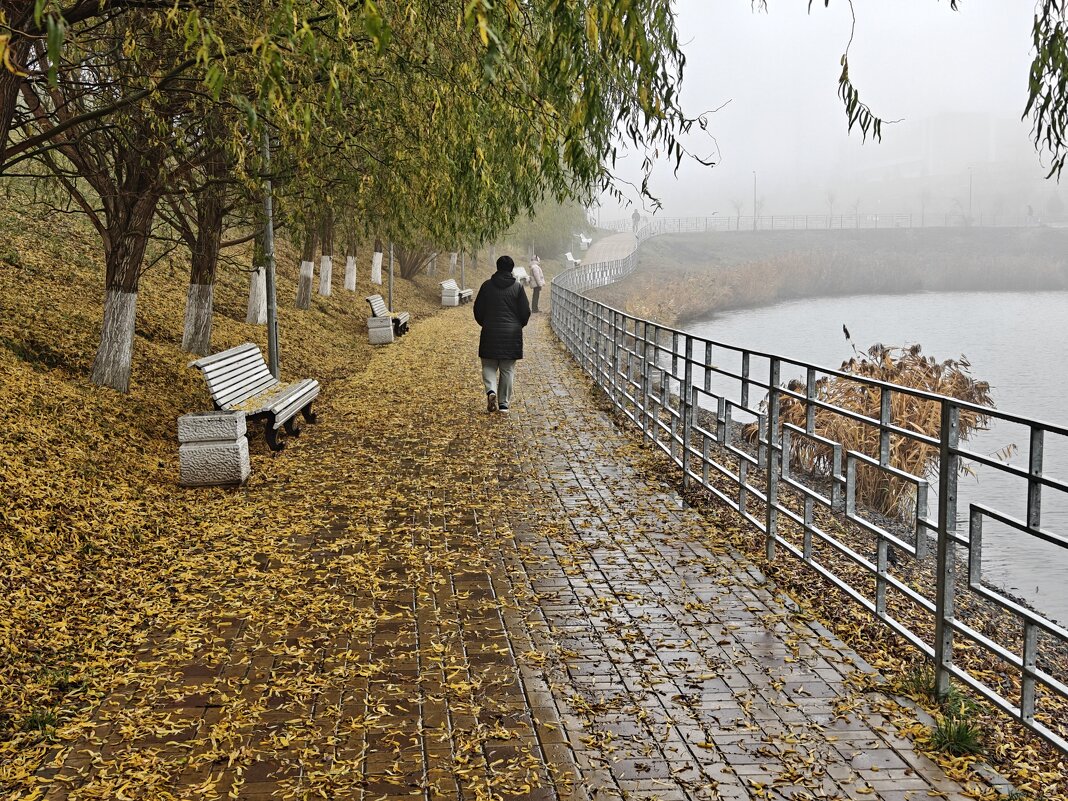 Ростовские зарисовки - Александр Гапоненко Ростовские зарисовки - Александр Гапоненко