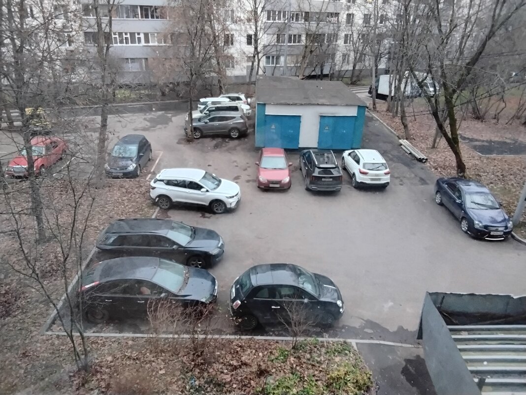 В нашем дворе в ноябре - Дмитрий Никитин