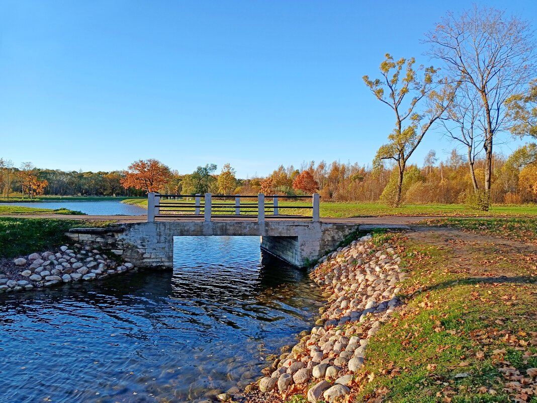 Осенние прогулки. - Лия ☼