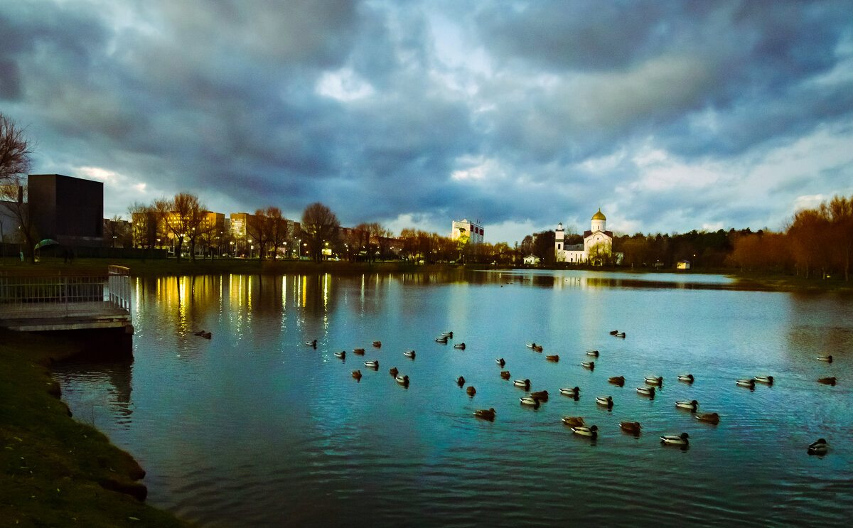 Утки - Андрей Сосновский