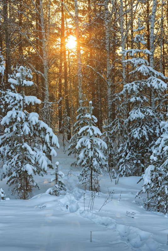 Морозный закат - Сергей Винтовкин Морозный закат - Сергей Винтовкин