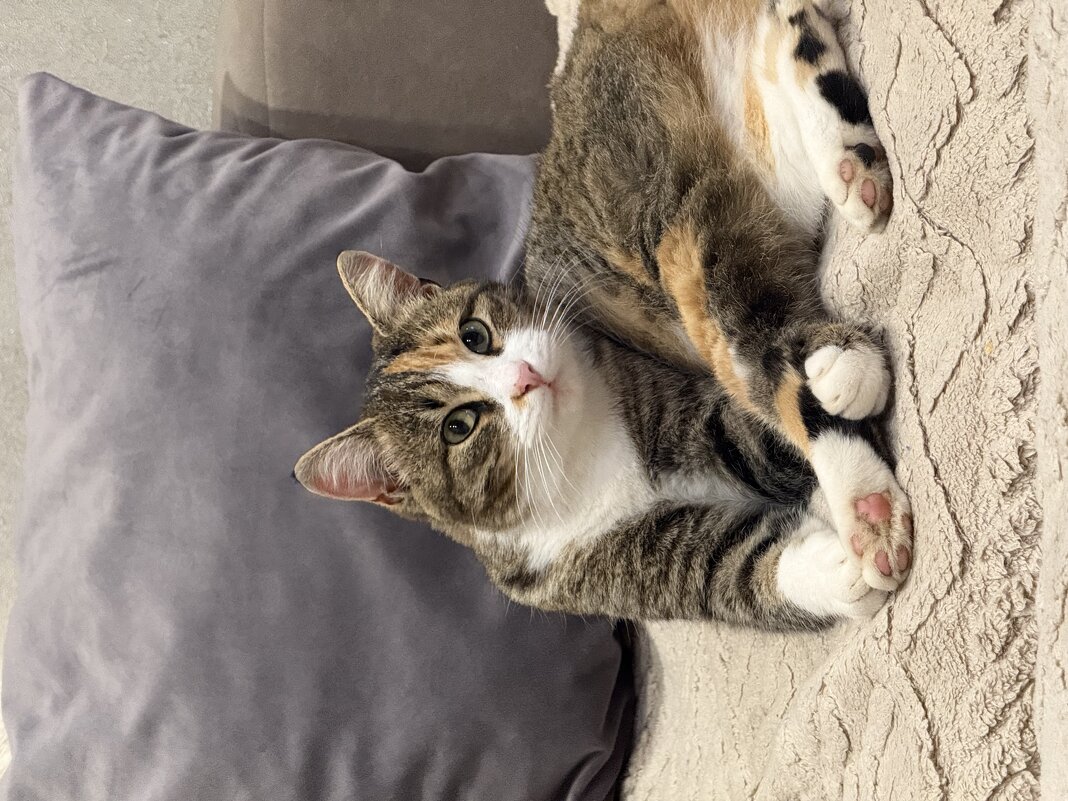 Маруся - Валентина .