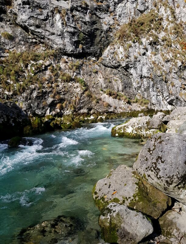 АБХАЗИЯ - Tata Wolf