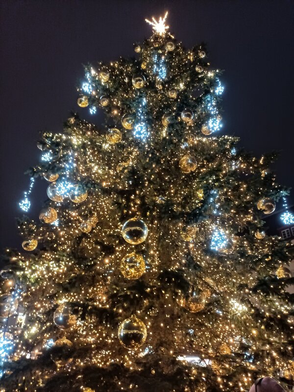 Рождественская-новогодняя елка - Veera V