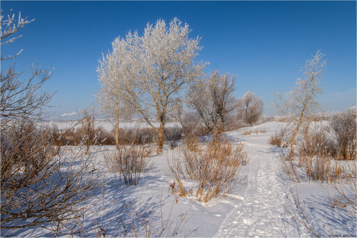Зимний солнечный день. - Александр Максимов