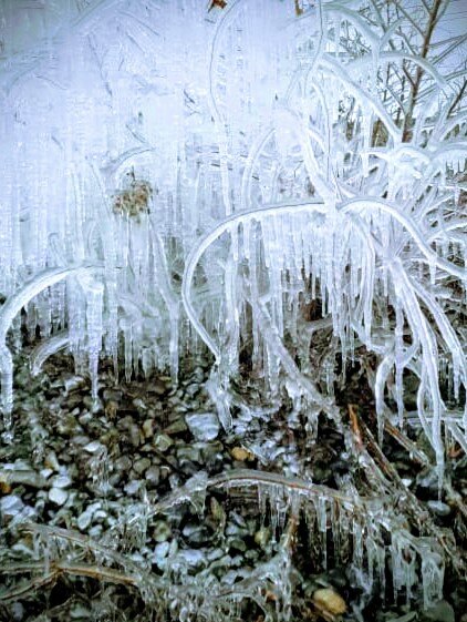 Ледовая фантазия - Георгиевич 