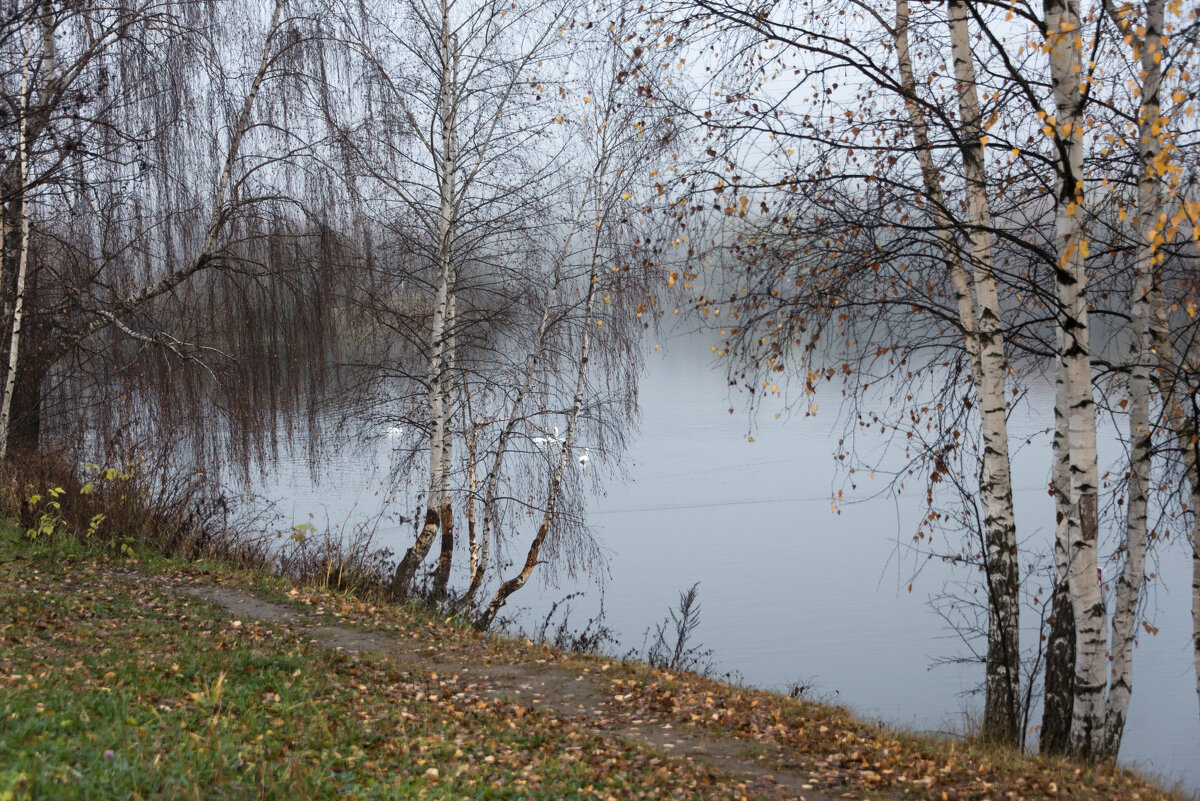 ** - Владимир Безбородов